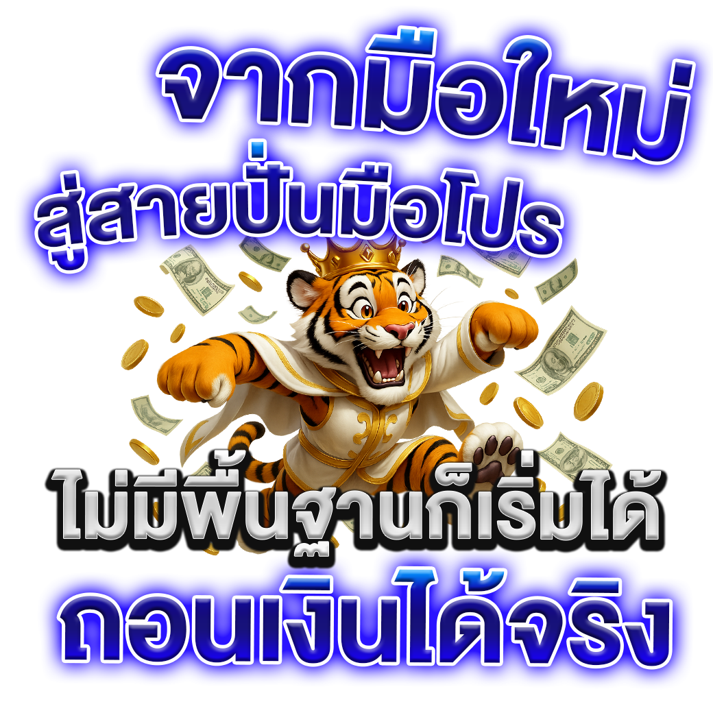 จากมือใหม่ สู่สายปั่นมือโปร